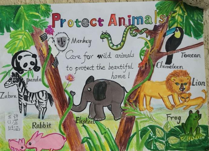 保护动物的英语手抄报