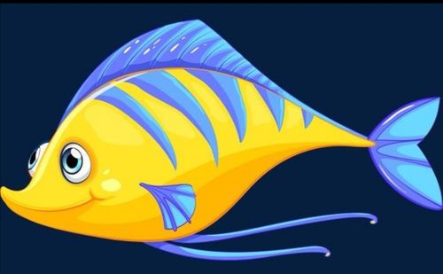 鱼怎么画 彩色图片