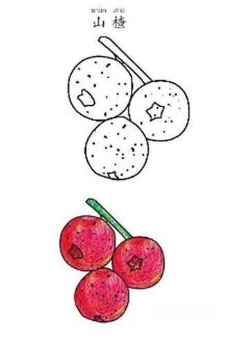 水果简笔画简单