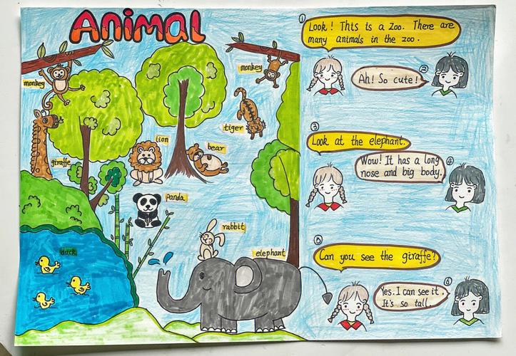 画一张英语关于动物的手抄报