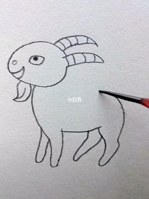 大羊的画法图片