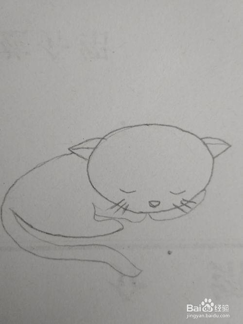 睡觉的猫图片简笔画 睡觉的猫图片简笔画可爱卡通