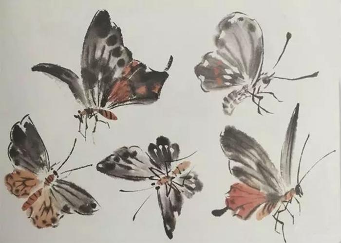 国画蝴蝶的画法 国画蝴蝶的画法和步骤
