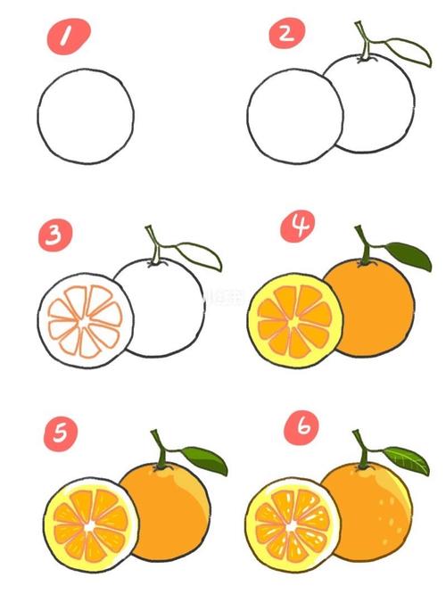 橙子画法简笔画图片