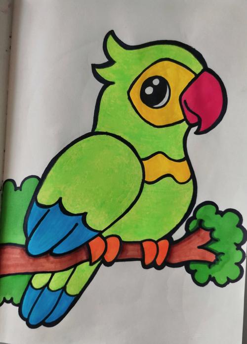 鹦鹉简笔画彩色 鹦鹉简笔画彩色涂色