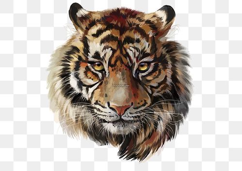 关于老虎的画 关于老虎的画作