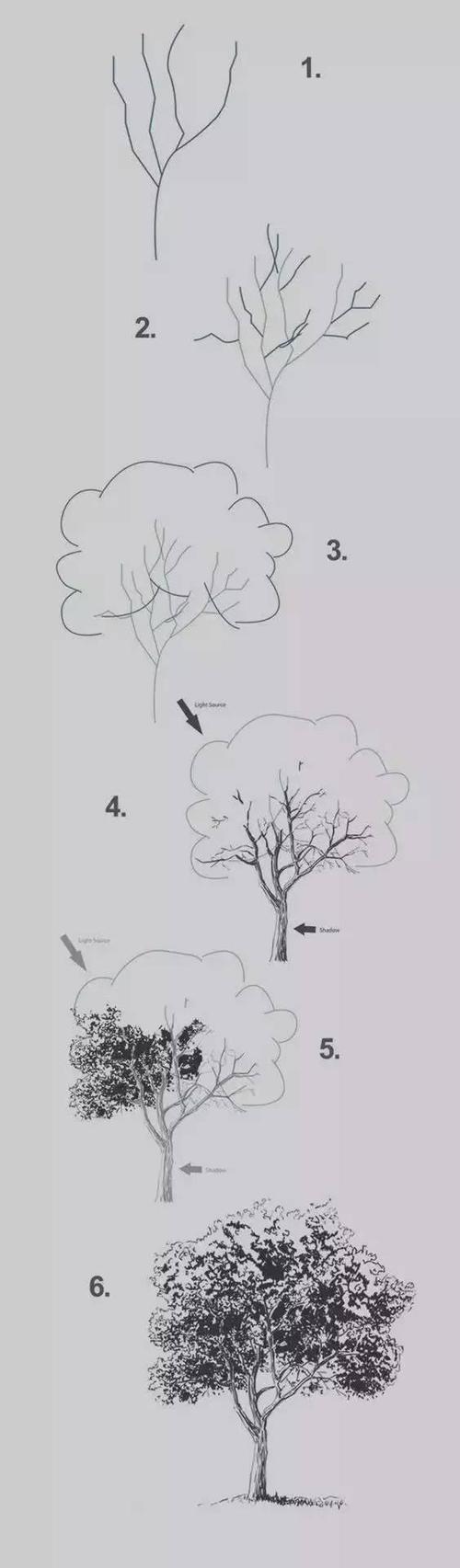 素描树的画法 素描的树怎么画