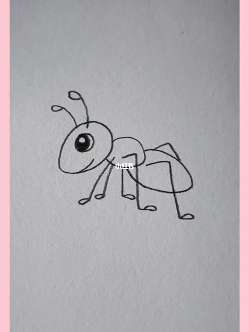 小蚂蚁简笔画 小蚂蚁简笔画图片大全