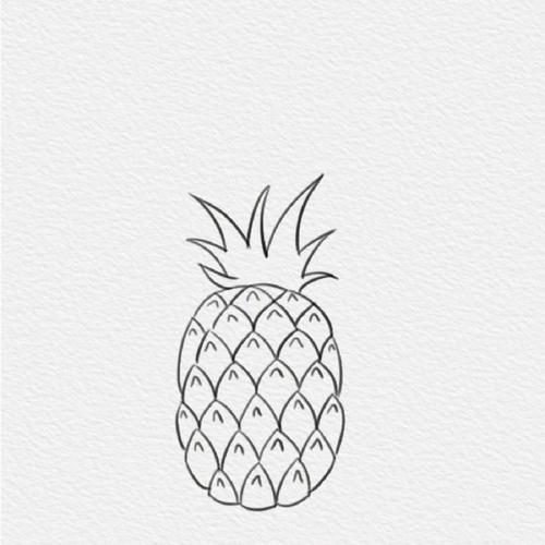 画菠萝的简笔画