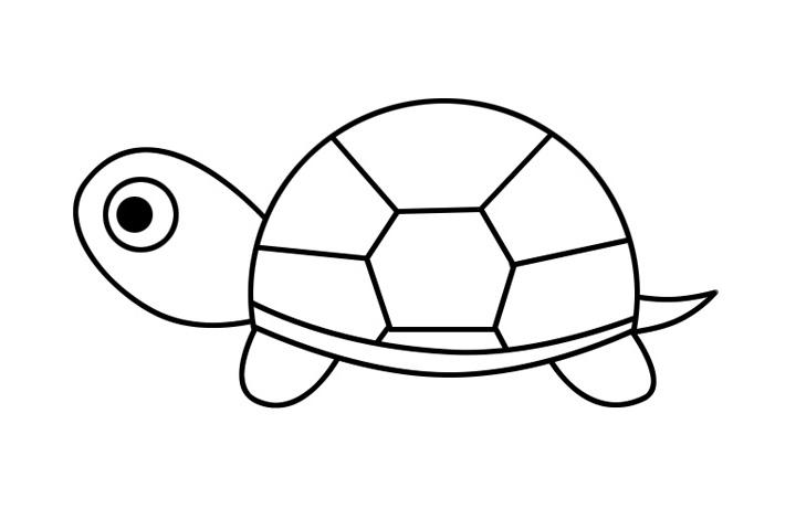 简笔画小乌龟的画法