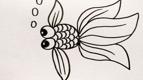 小金鱼简笔画 画法图片