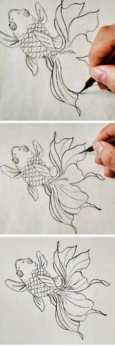 国画金鱼的画法 国画金鱼的画法步骤