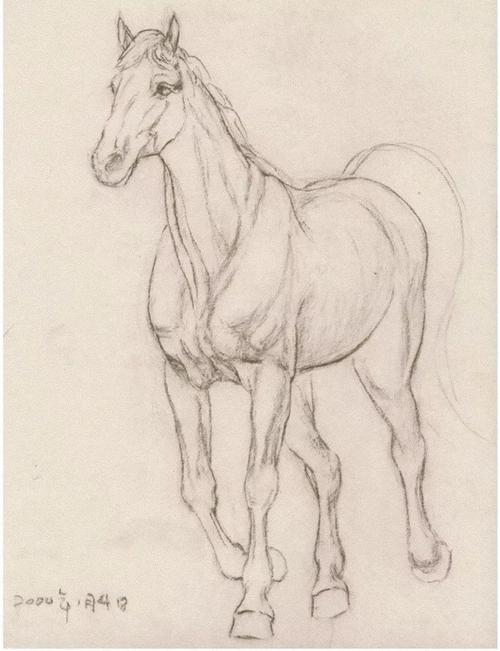 马怎么画 马怎么画又简单又帅气