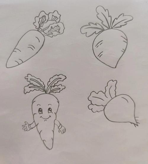 萝卜的画法儿童简笔画 萝卜的画法儿童简笔画图片大全