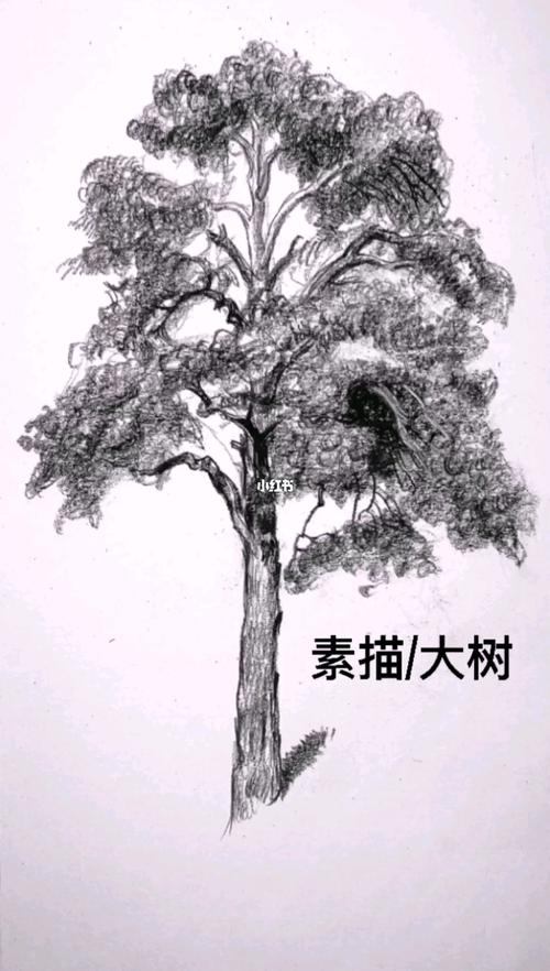 素描树桩的画法简单图片
