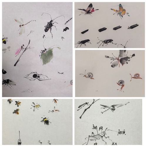 国画蜻蜓的画法 国画蜻蜓的画法和步骤