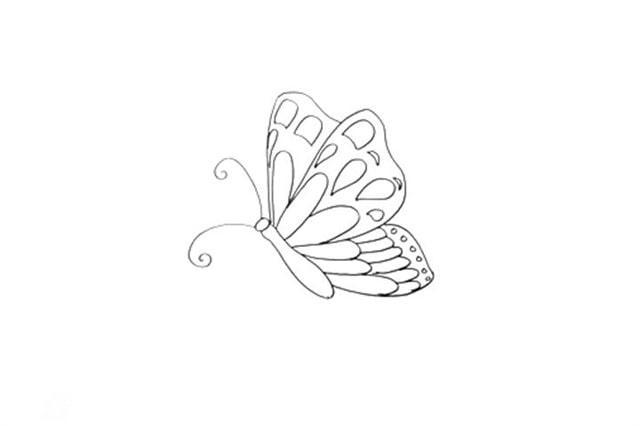 蝴蝶的简笔画简单漂亮 蝴蝶简笔画简单漂亮的颜色