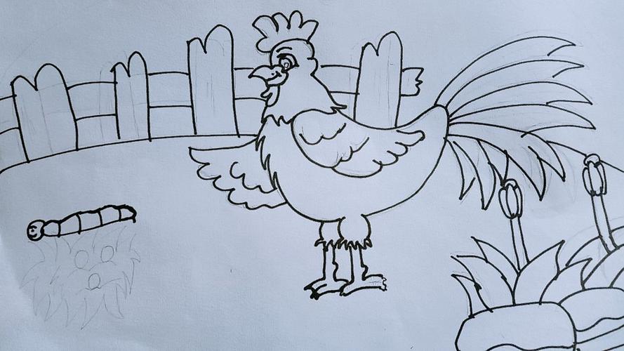 公鸡怎么画 公鸡怎么画简笔画