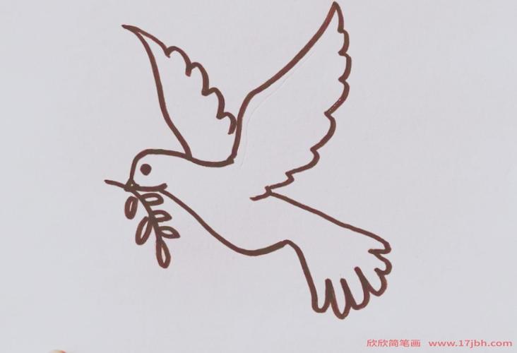国庆和平鸽简笔画