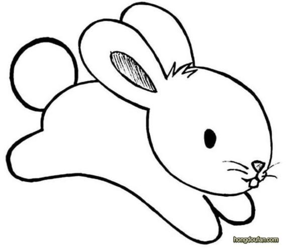 画一只大白兔图片