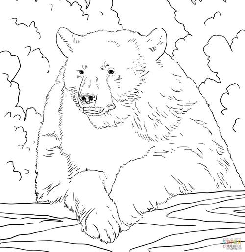 黑熊怎么画