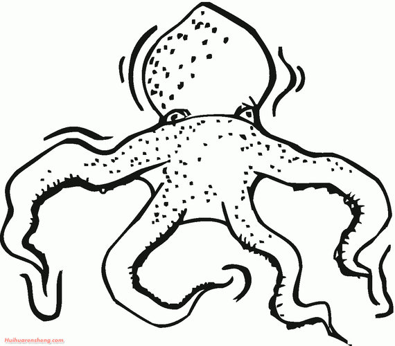 章鱼的画法简笔画图片 章鱼怎么画才可怕