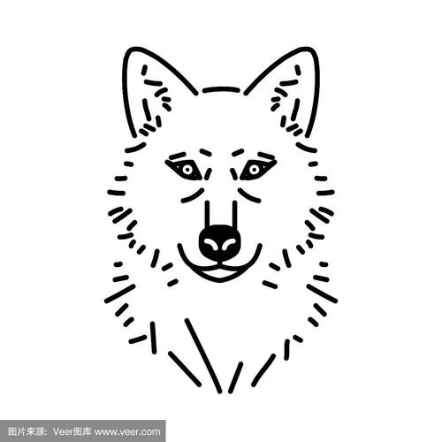 狼的素描画 狼的素描画全身