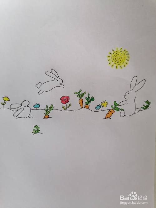 兔子拔萝卜简笔画 兔子拔萝卜简笔画彩色