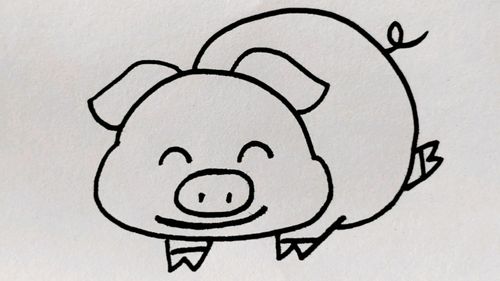 小猪猪简笔画