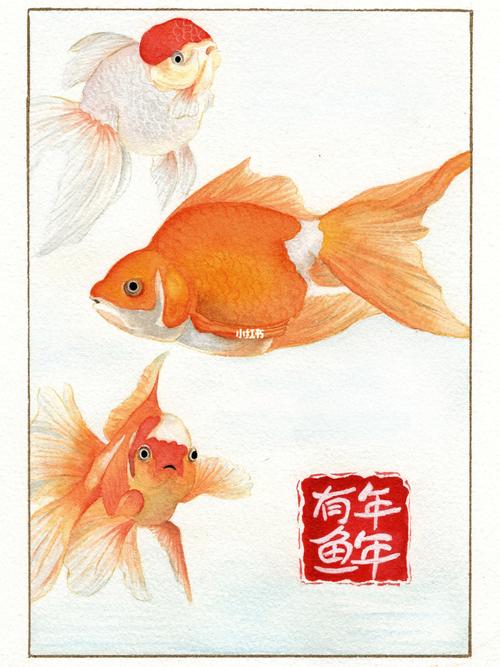 年年有鱼简笔画彩色 年年有鱼简笔画