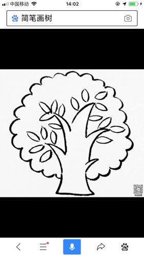 各种树的简笔画 各种树的简笔画和介绍