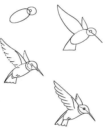 飞鸟简笔画简单又漂亮 飞鸟简笔画简单又漂亮怎么画