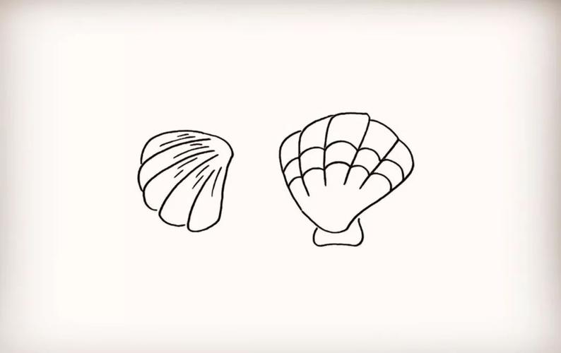 儿童画贝壳 儿童画贝壳最简单画法