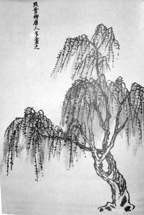 山水画树木的画法 山水画树木的画法教案