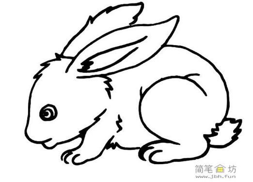 兔子侧面简笔画可爱