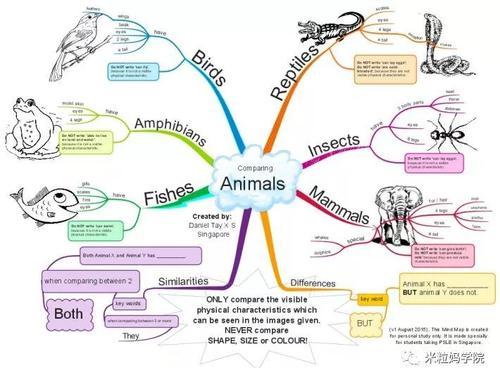 动物分类思维导图 八年级上册动物分类思维导图