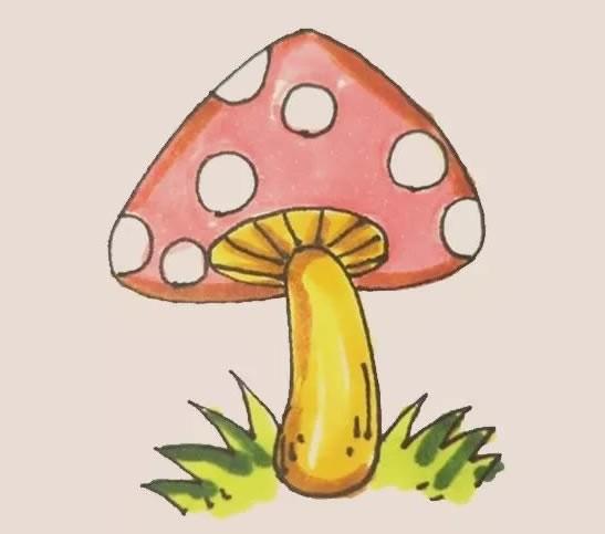 蘑菇简笔画有颜色 蘑菇简笔画颜色的图片