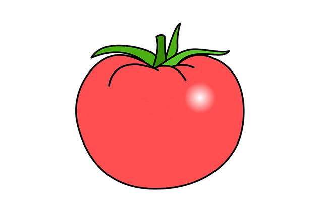 番茄简笔画图片 番茄简笔画图片带颜色