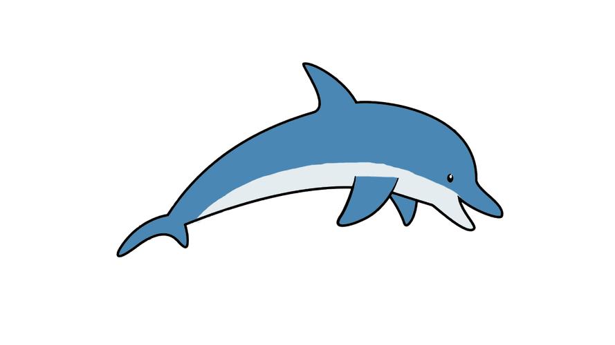海豚简笔画彩色 海豚简笔画彩色可爱