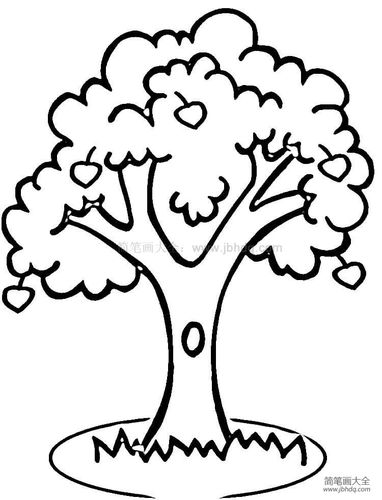 树怎么画简笔画 树木怎么画简单又好看