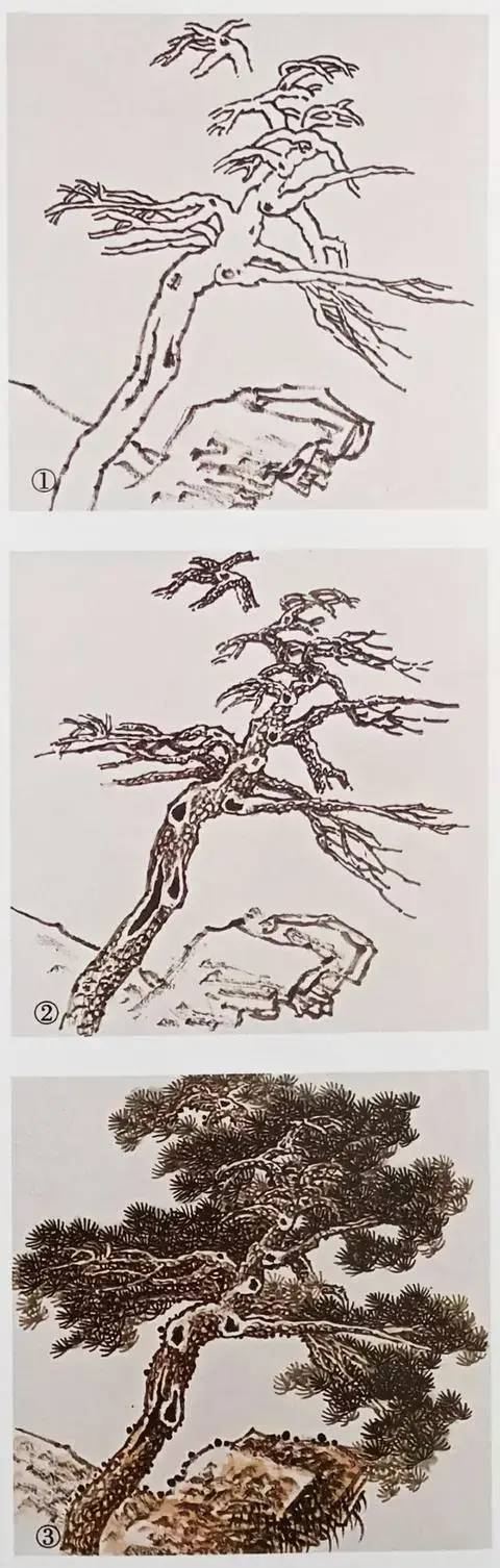 国画松树的画法步骤 国画松树的画法步骤图片
