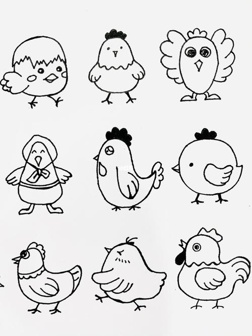 鸡怎么画简笔画 小队图片