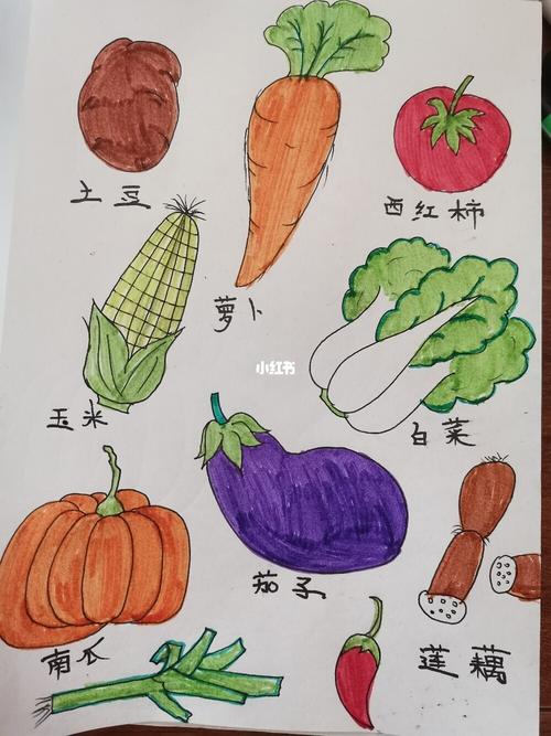 100种蔬菜简笔画 100种蔬菜简笔画图片