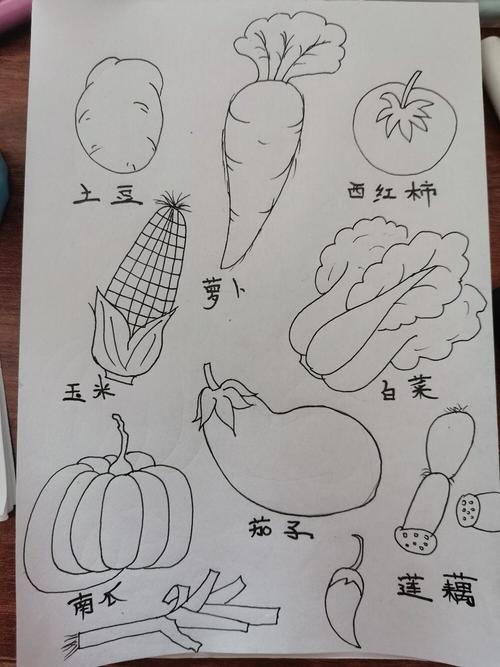 蔬果简笔画 写意蔬果简笔画