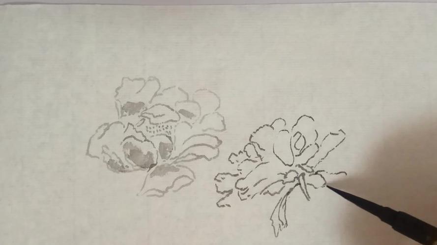 怎样画牡丹花 怎样画牡丹花视频教程
