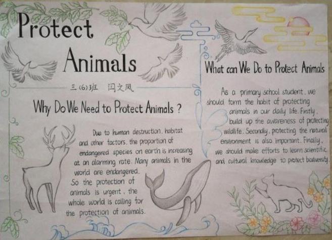 保护动物英语手抄报内容