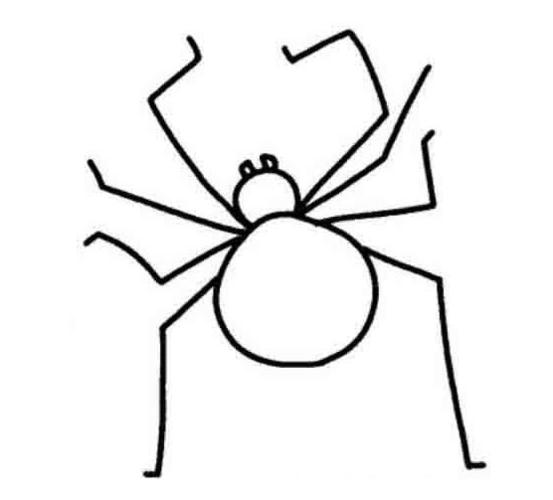 蜘蛛简笔画 
