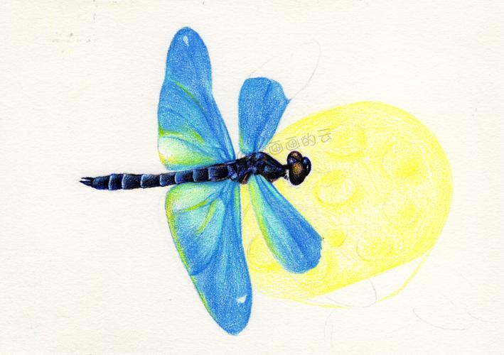 蜻蜓怎么画超级漂亮