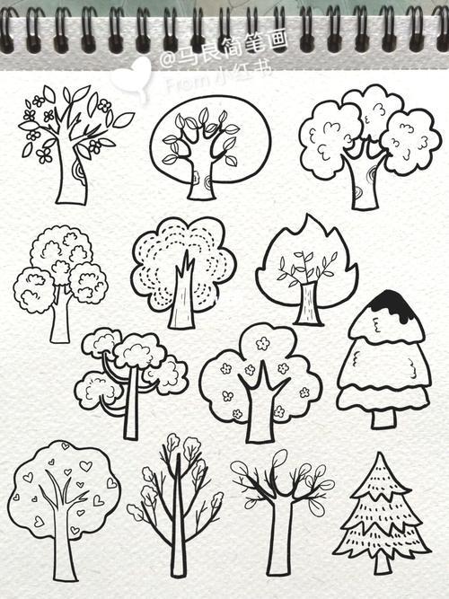 各种树的简笔画 各种树的简笔画和介绍