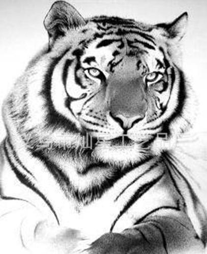 学画老虎的图片 学画画老虎